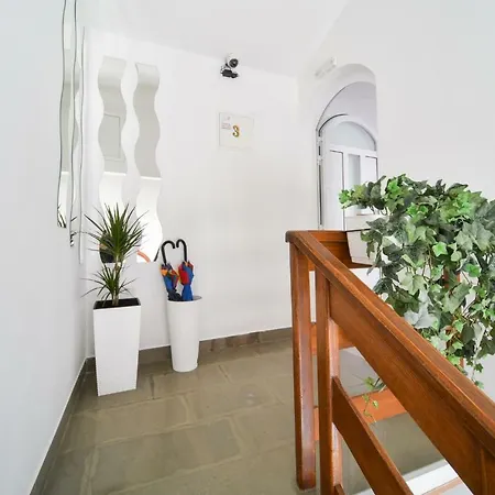 And Nekic 게스트하우스 3*