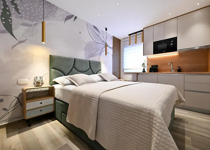 And Nekic 3* زادار